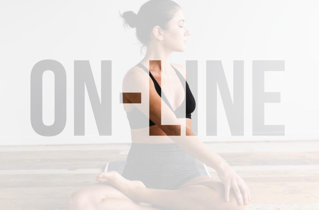 Curso de Pilates Online para Fisioterapeutas